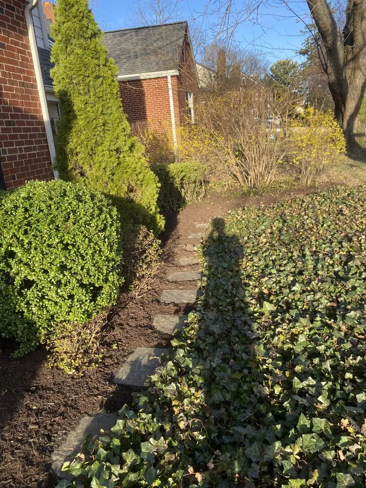 Professional landscape installation with custom design in Owings Mills, MD by Toti Landscaping