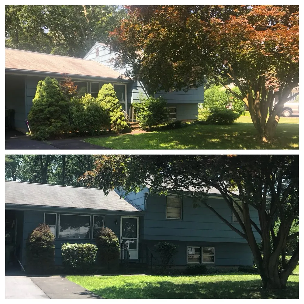 Affordable yard maintenance for year-round maintenance in Wallingford, CT by Totino Property Services