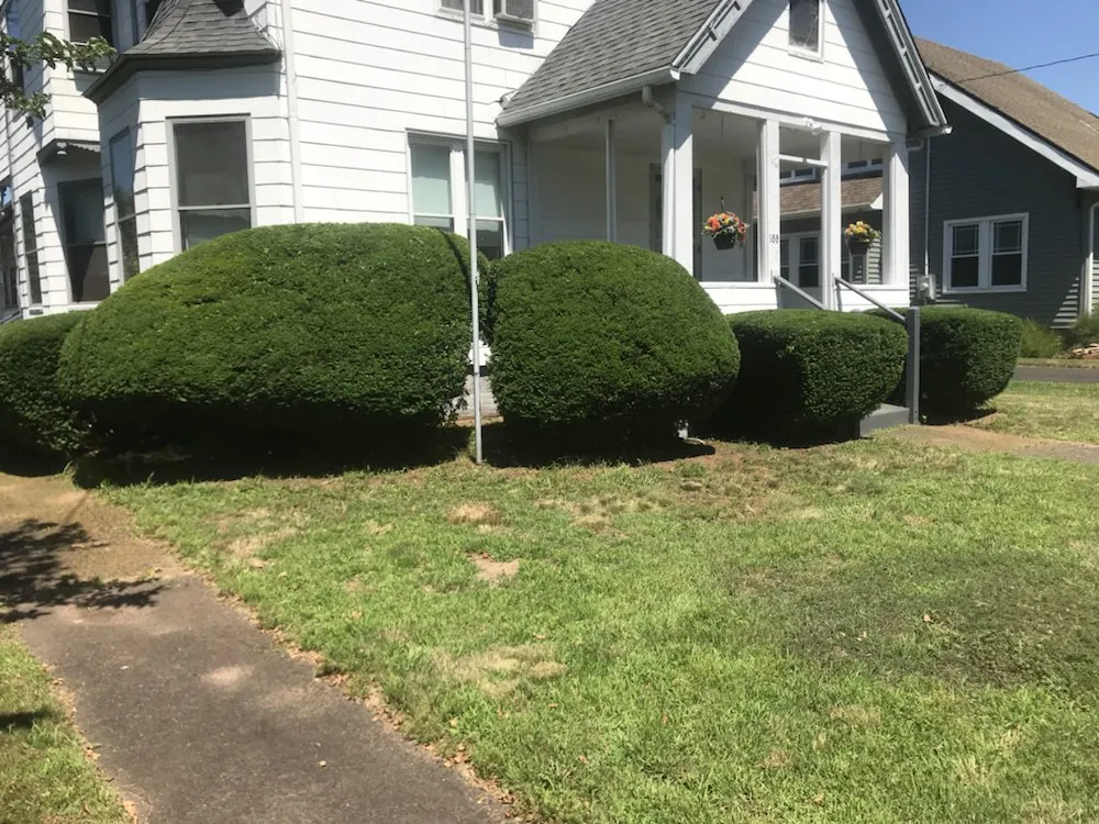 Affordable landscape design for beautiful yards in Wallingford, CT by Totino Property Services