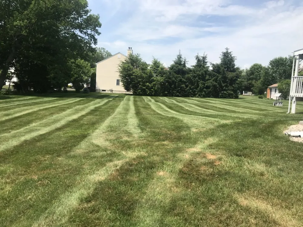 Local landscape design in Wallingford, CT - Totino Property Services