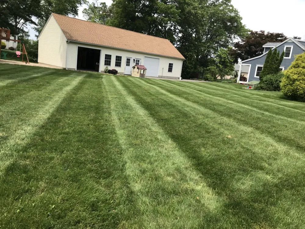 Affordable landscaping services in Wallingford, CT by Totino Property Services