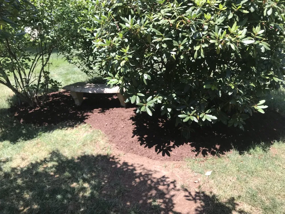 Trusted yard maintenance for residential properties in Wallingford, CT by Totino Property Services