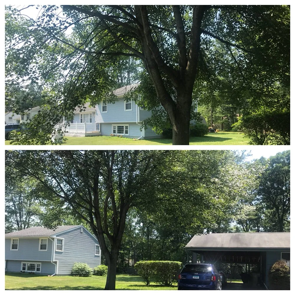 Top-rated garden landscaping for homes in Wallingford, CT by Totino Property Services