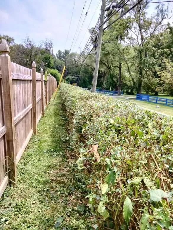 Top-rated landscape design for outdoor upgrades across Owings Mills, MD - Toty Landscaping &Tree Services