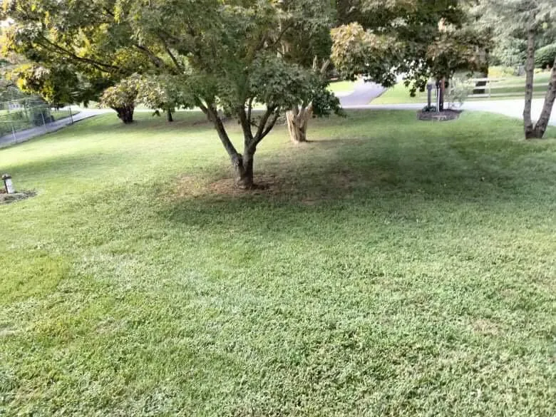 Reliable yard cleanup service for outdoor upgrades in Owings Mills, MD by Toty Landscaping &Tree Services