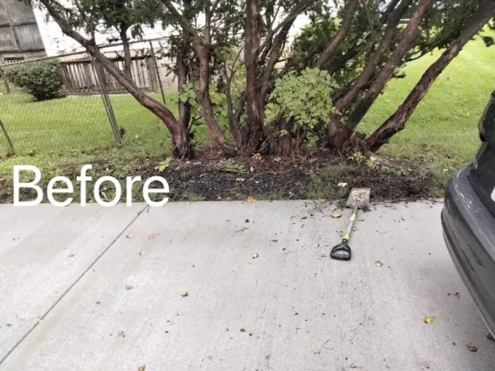 Professional yard maintenance experts serving Owings Mills, MD - Toty Landscaping &Tree Services