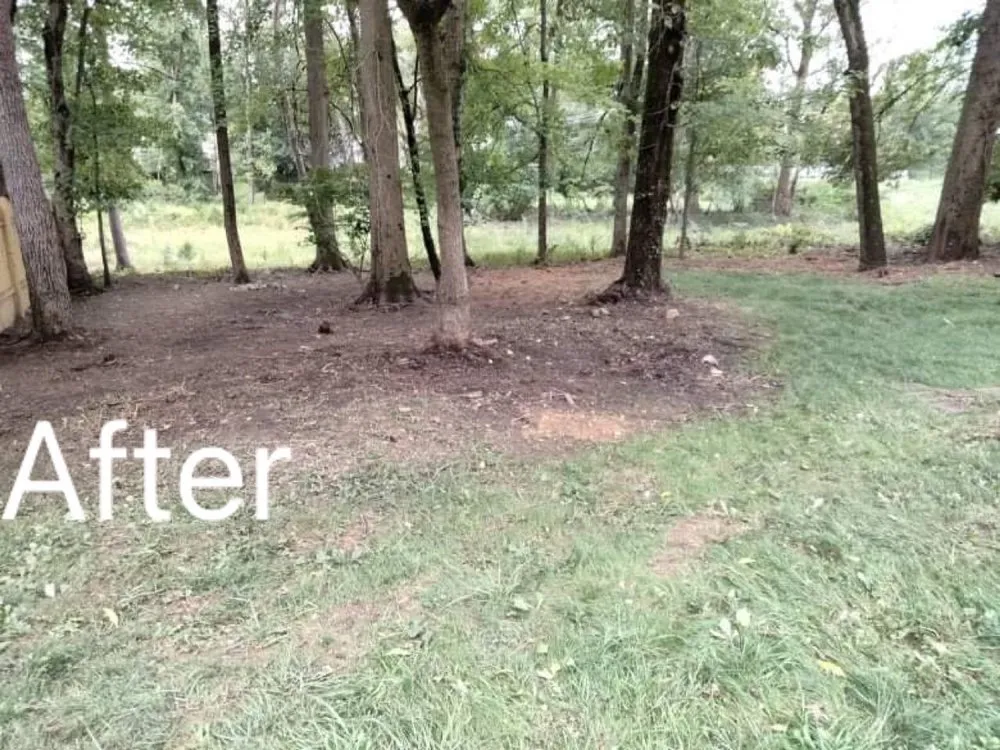 Reliable yard maintenance experts serving Owings Mills, MD - Toty Landscaping &Tree Services