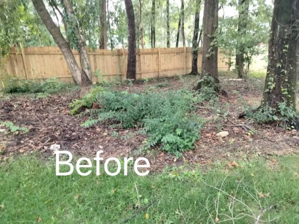 Expert landscape design experts serving Owings Mills, MD - Toty Landscaping &Tree Services