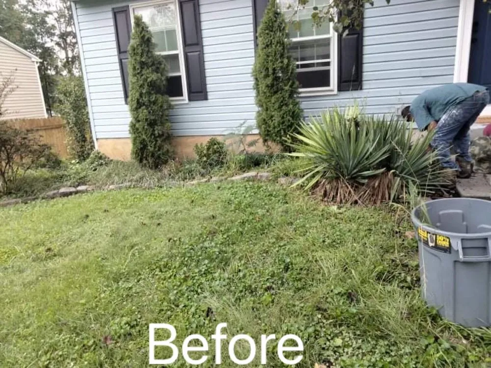 Expert landscaping services experts serving Owings Mills, MD - Toty Landscaping &Tree Services