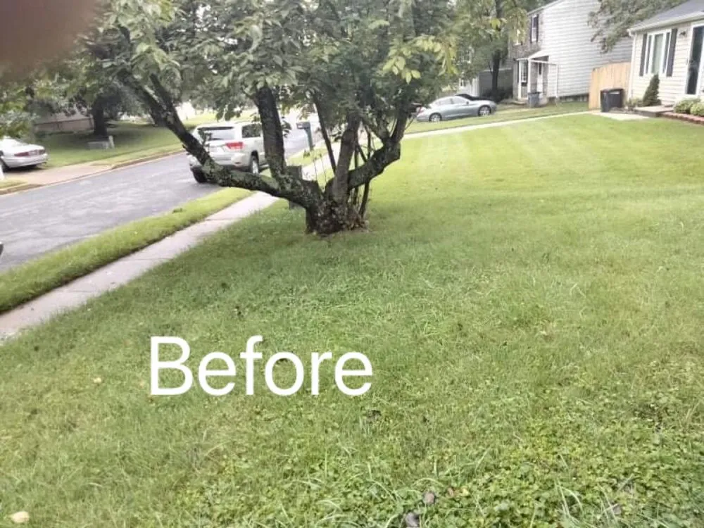 Professional residential landscaping in Owings Mills, MD by Toty Landscaping &Tree Services