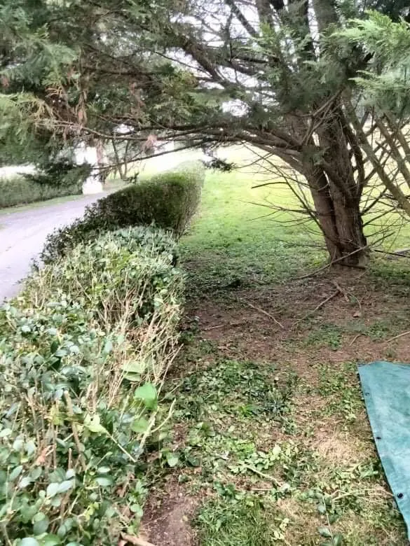 Affordable landscape design in Owings Mills, MD by Toty Landscaping &Tree Services