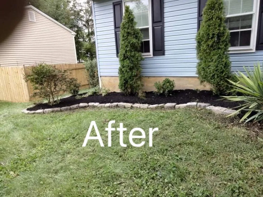 Affordable yard cleanup service for year-round maintenance in Owings Mills, MD by Toty Landscaping &Tree Services
