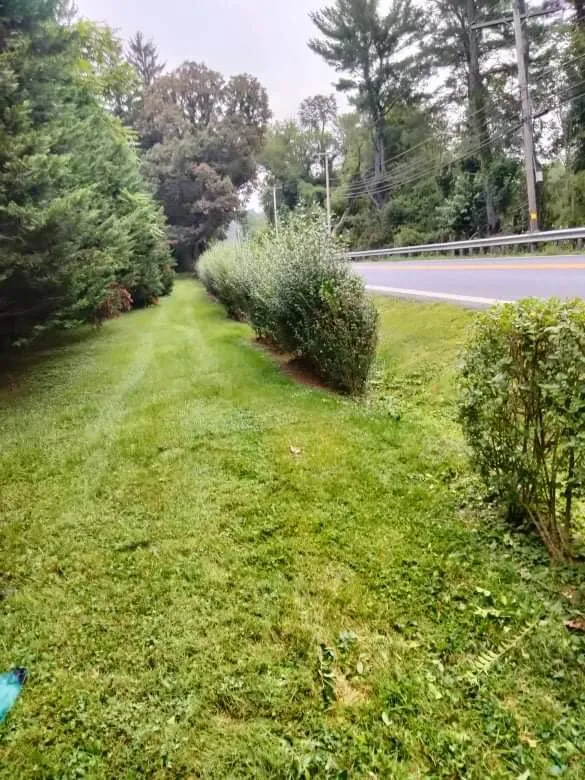 Trusted lawn mowing service in Owings Mills, MD - Toty Landscaping &Tree Services