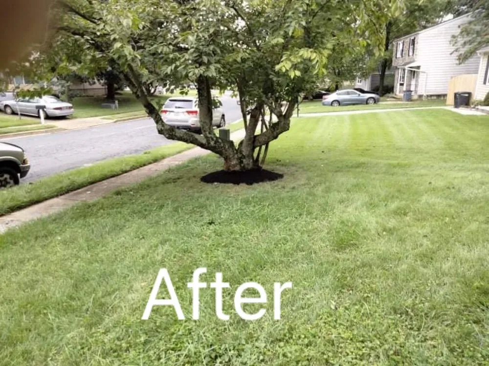 Affordable yard maintenance for beautiful yards across Owings Mills, MD - Toty Landscaping &Tree Services