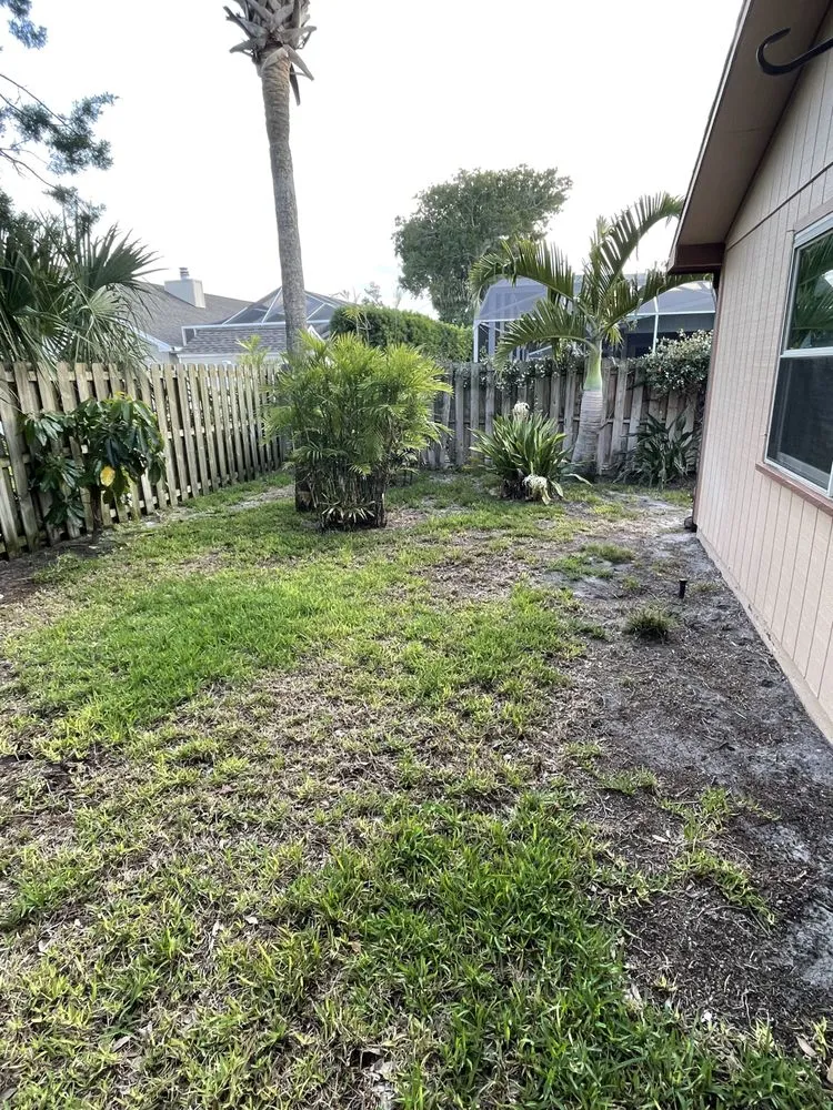 Reliable outdoor landscaping for beautiful yards across Ormond Beach, FL - Toucan Lawn Care & Pest Control