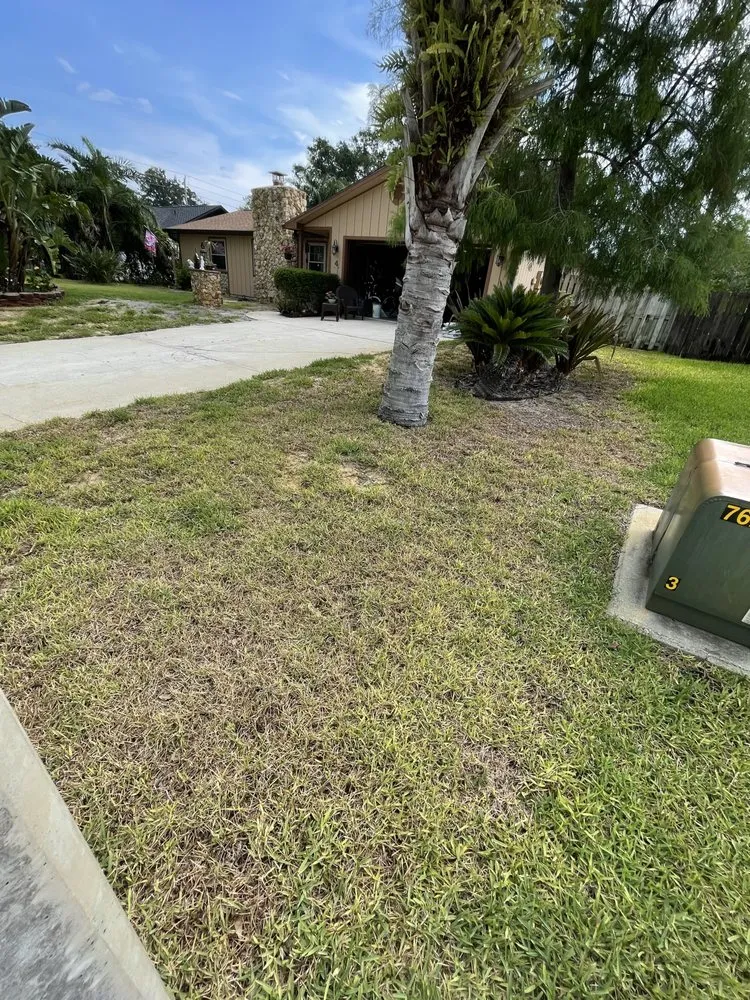 Trusted landscape installation experts serving Ormond Beach, FL - Toucan Lawn Care & Pest Control