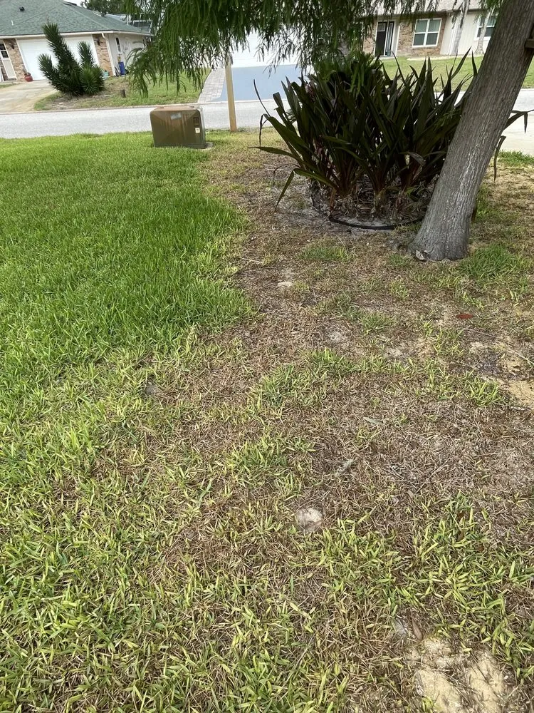 Expert landscaping services experts serving Ormond Beach, FL - Toucan Lawn Care & Pest Control