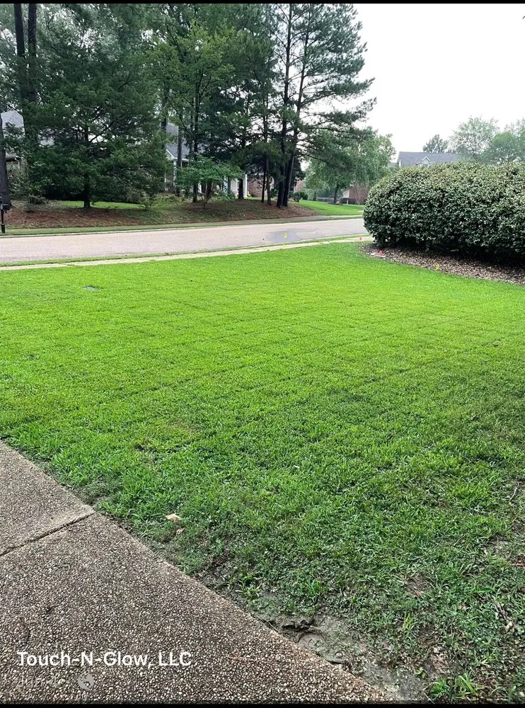 Custom landscaping services in Madison, MS - Touch-N-Glow