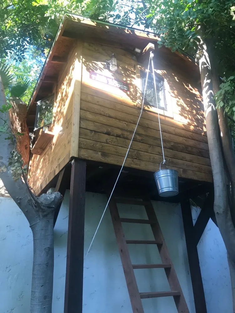 Expert lawn care service in Los Angeles, CA - Touch of Art DB