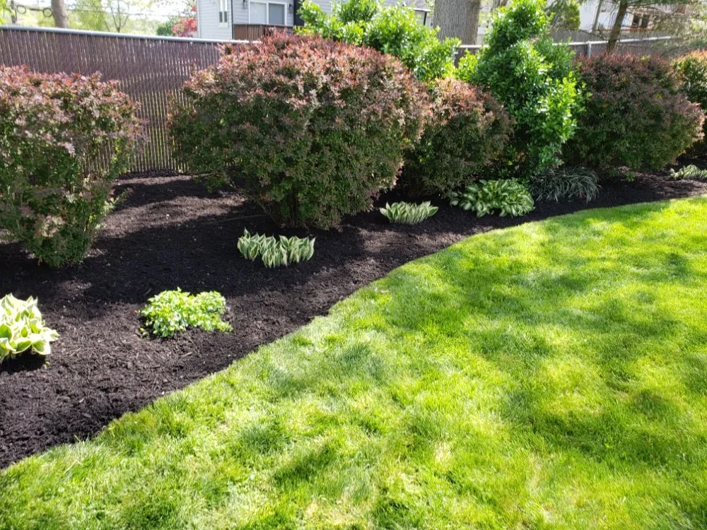 Professional landscaping services in East Orange, NJ by Touch of Class Lawn Care