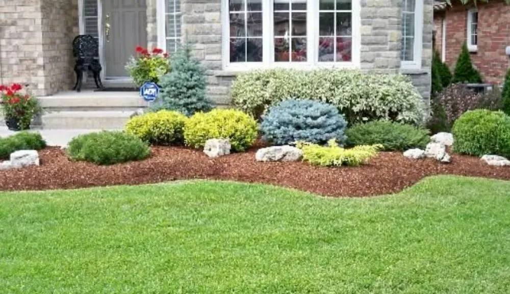 Expert yard maintenance for year-round maintenance across East Orange, NJ - Touch of Class Lawn Care