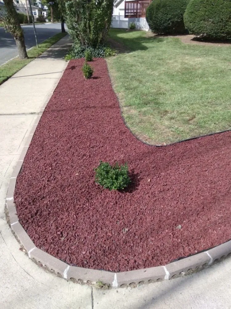 Top-rated yard cleanup service in East Orange, NJ by Touch of Class Lawn Care