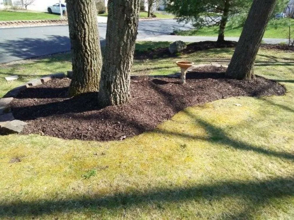 Reliable landscaping services in East Orange, NJ - Touch of Class Lawn Care