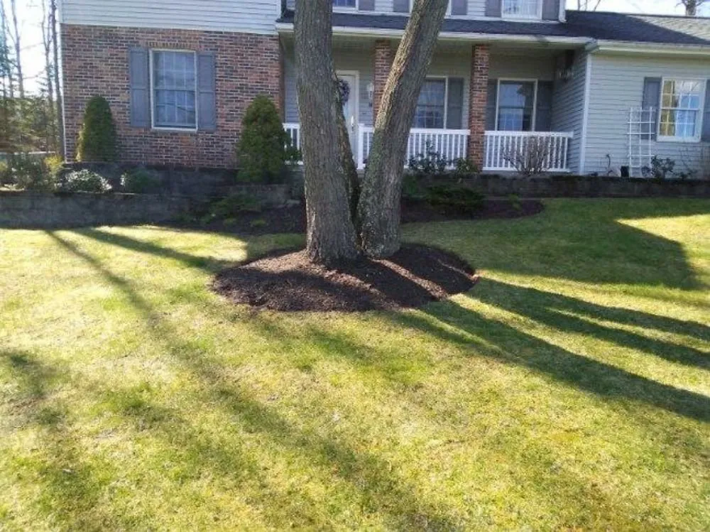 Custom lawn mowing service for homes across East Orange, NJ - Touch of Class Lawn Care