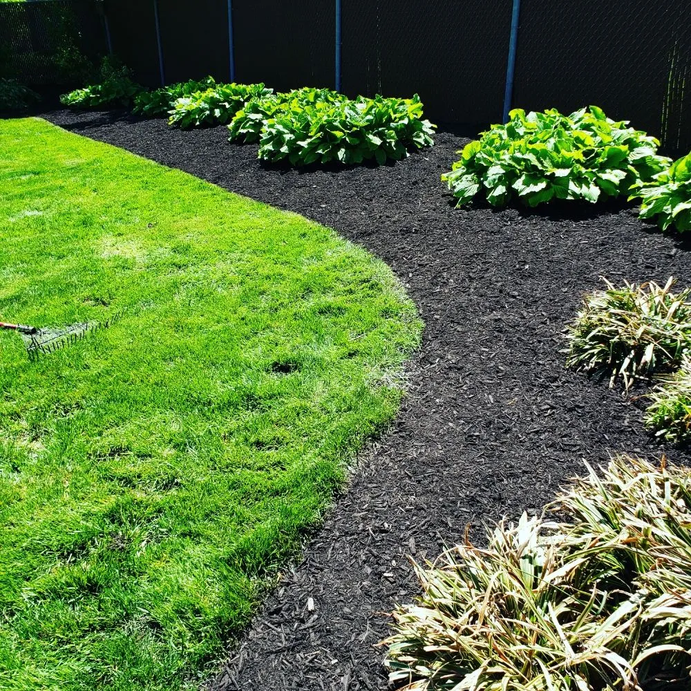 Expert landscaping services experts serving East Orange, NJ - Touch of Class Lawn Care