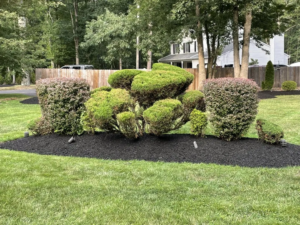 Trusted residential landscaping experts serving Hammonton, NJ - Touch Of Country Landscaping