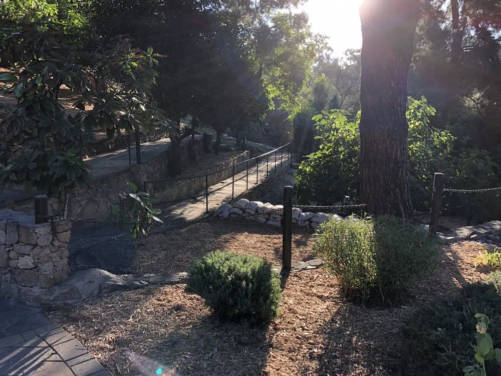 Expert yard maintenance for year-round maintenance across Lakeside, CA - Touch of Earth Landscape