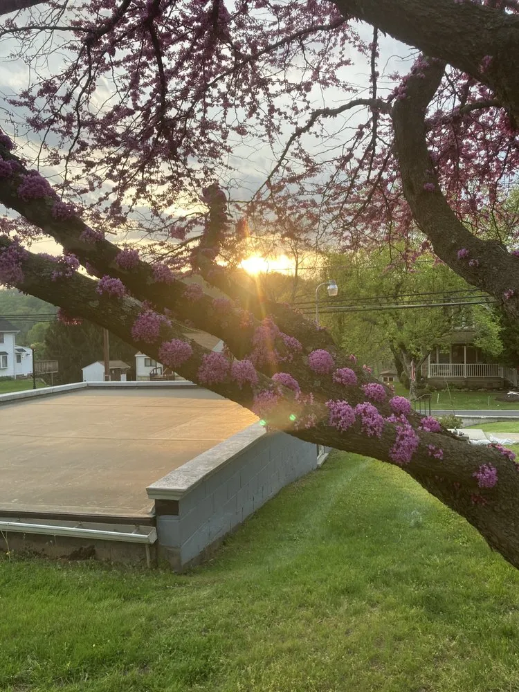 Trusted yard cleanup service in Reading, PA by Touch of Eden Lawn Care