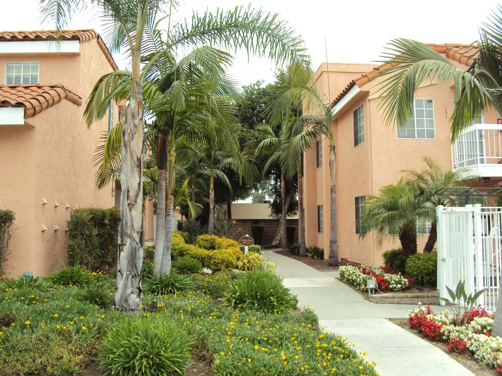 Reliable yard cleanup service in Chino Hills, CA - Touch of Green Landscape Maintenance