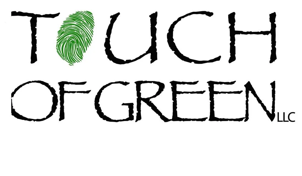 Professional lawn care service in Cedar Springs, MI by Touch of Green Landscaping