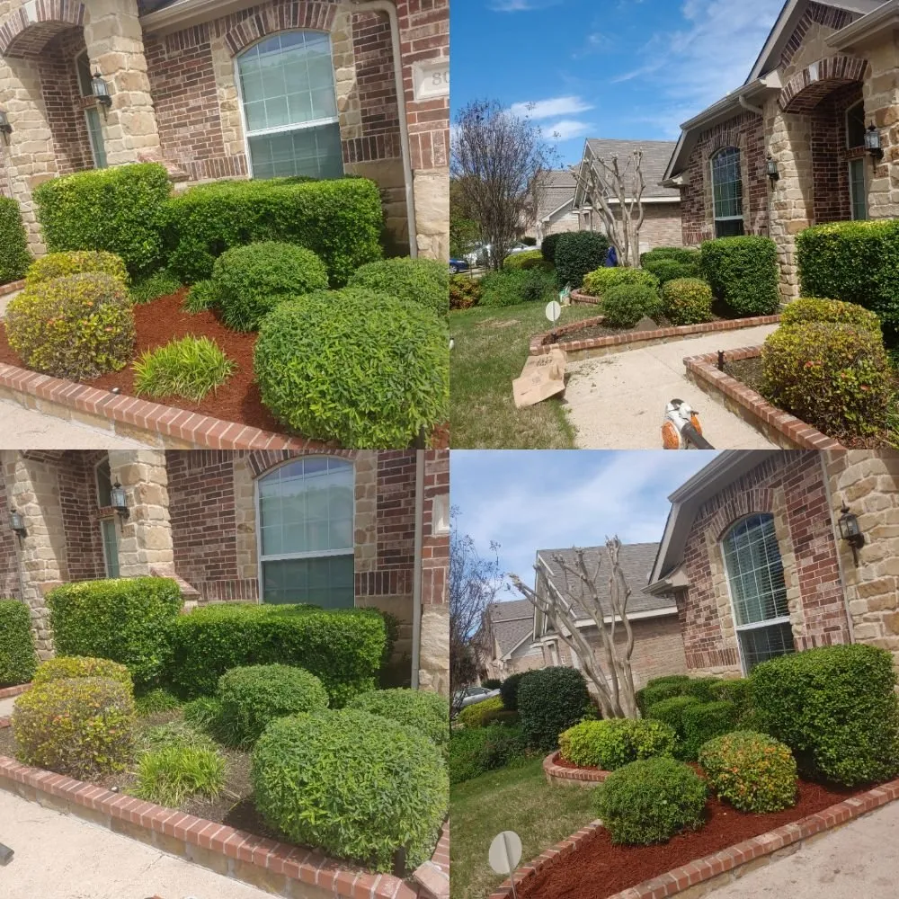 Expert garden landscaping experts serving Wylie, TX - Touch Of Life Landscape