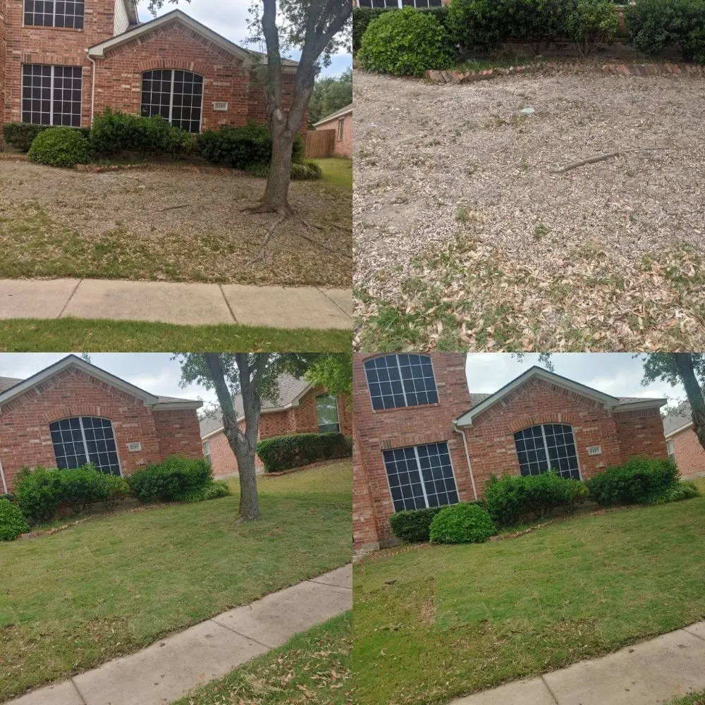 Professional garden landscaping in Wylie, TX by Touch Of Life Landscape