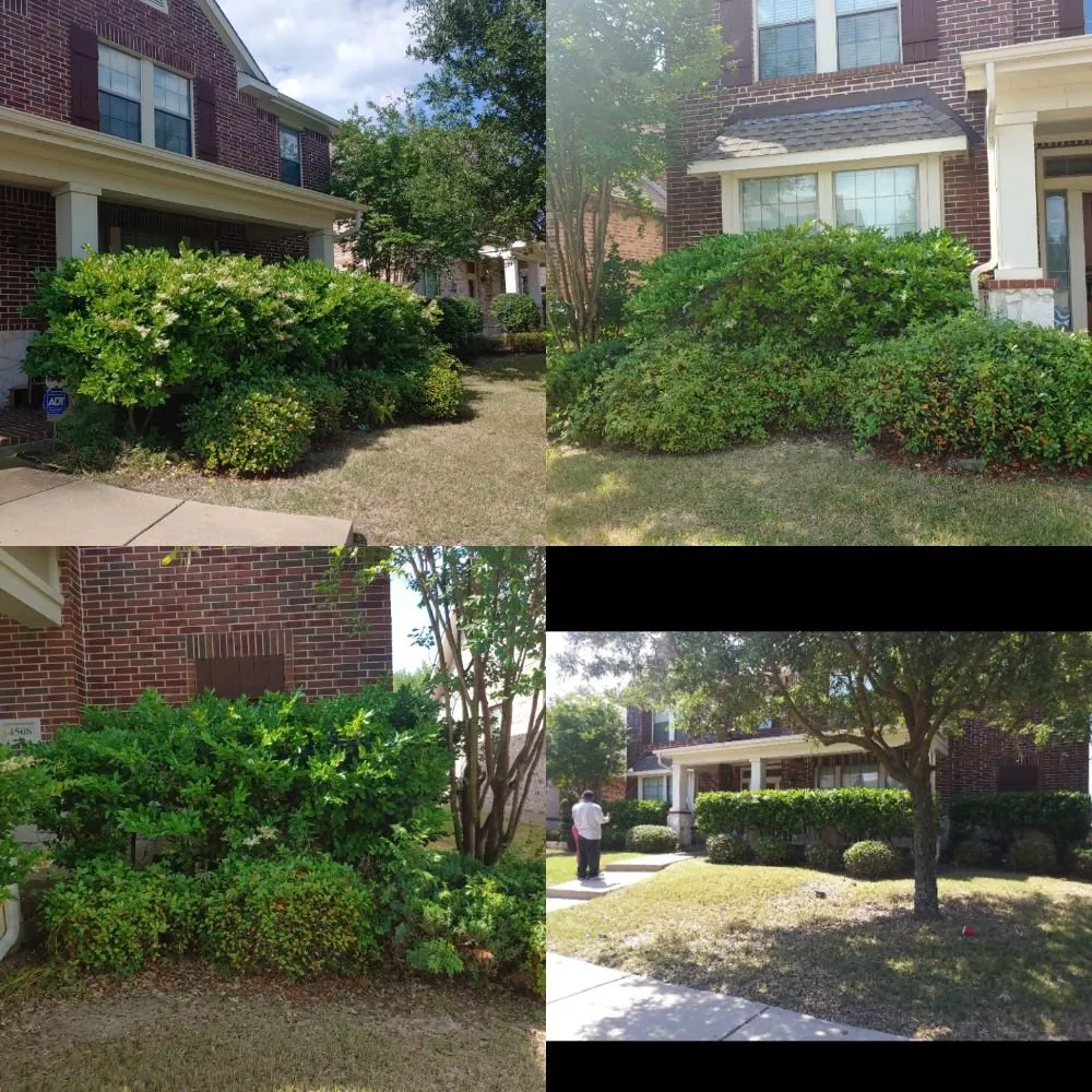 Professional landscape installation in Wylie, TX - Touch Of Life Landscape