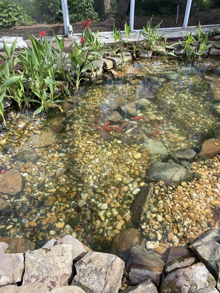 Expert yard cleanup service in Ocala, FL - Touch Of Paradise Designs