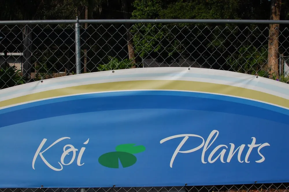 Expert lawn mowing service in Ocala, FL by Touch Of Paradise Designs