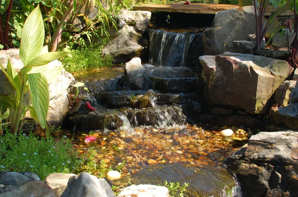 Custom garden landscaping for homes in Ocala, FL by Touch Of Paradise Designs