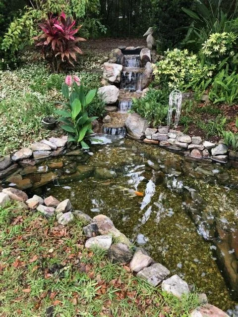 Affordable yard cleanup service for outdoor upgrades in Ocala, FL by Touch Of Paradise Designs