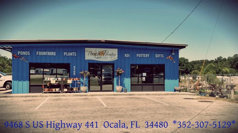 Affordable lawn care service experts serving Ocala, FL - Touch Of Paradise Designs