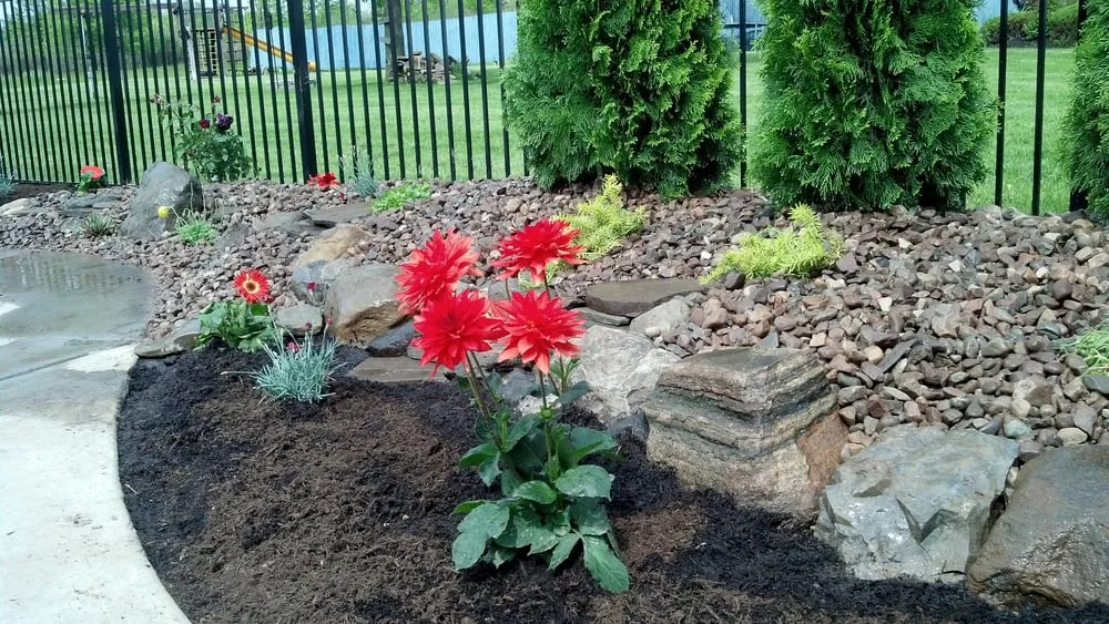 Professional yard maintenance for beautiful yards in Blasdell, NY by Touch of Paradise Landscaping