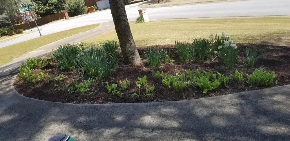 Top-rated yard cleanup service in Conyers, GA - Touch of Soul lawn Service