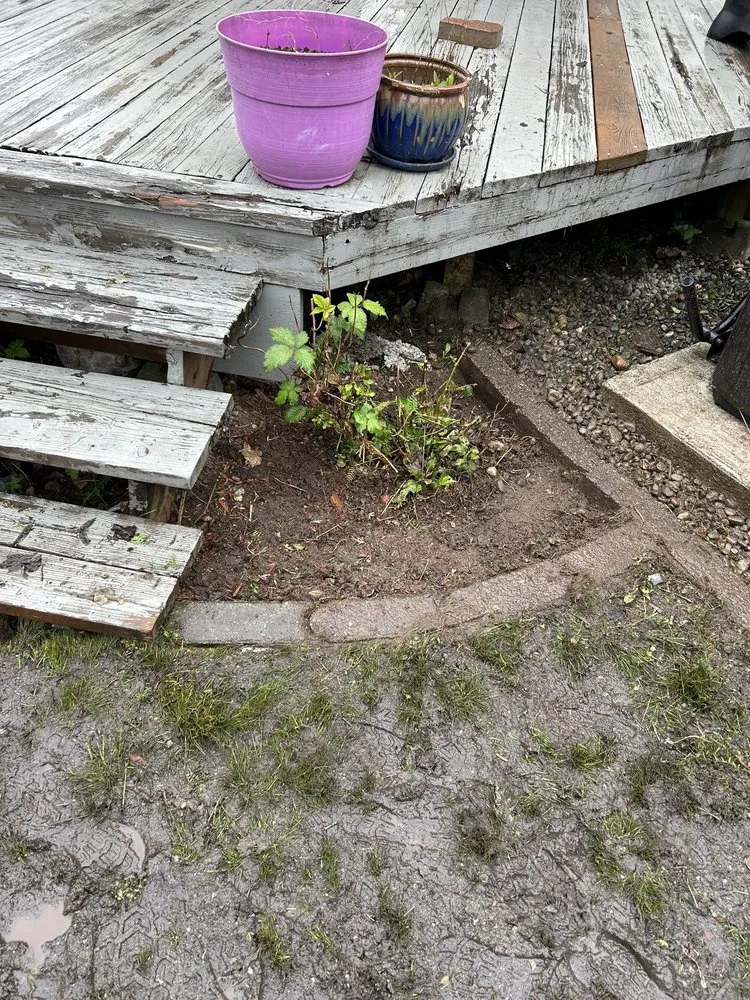 Top-rated landscape design experts serving Puyallup, WA - Touch of Spring