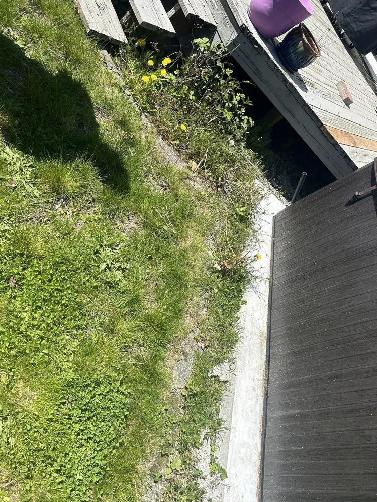 Professional yard cleanup service in Puyallup, WA - Touch of Spring