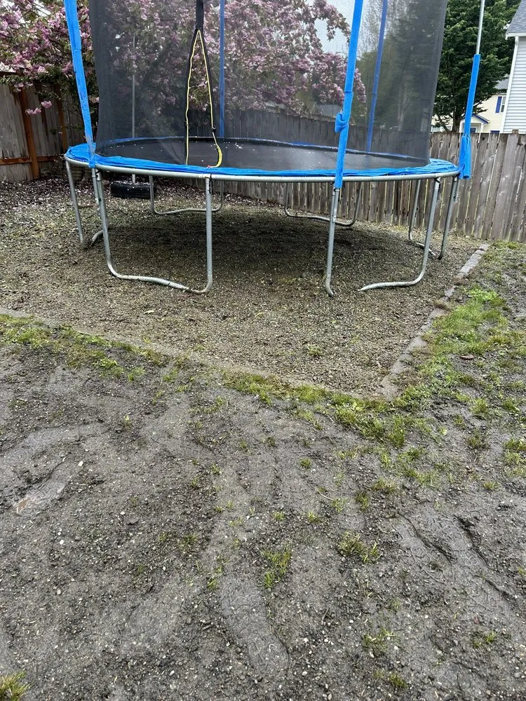 Local landscape design experts serving Puyallup, WA - Touch of Spring