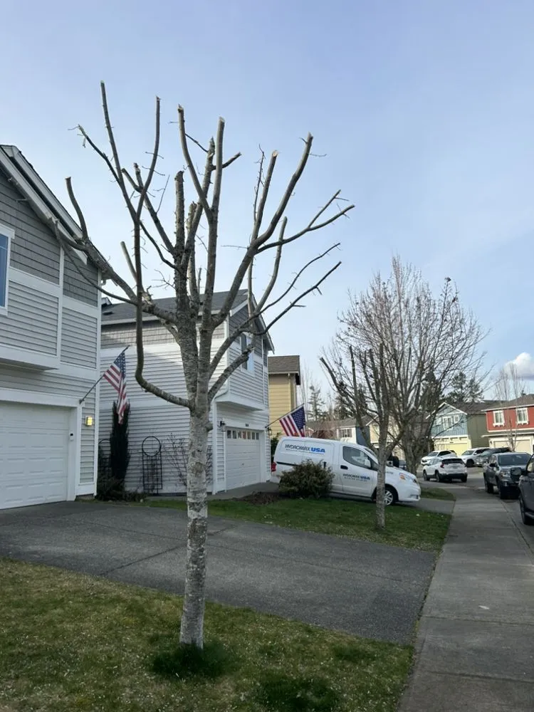 Custom landscape installation for homes in Puyallup, WA by Touch of Spring