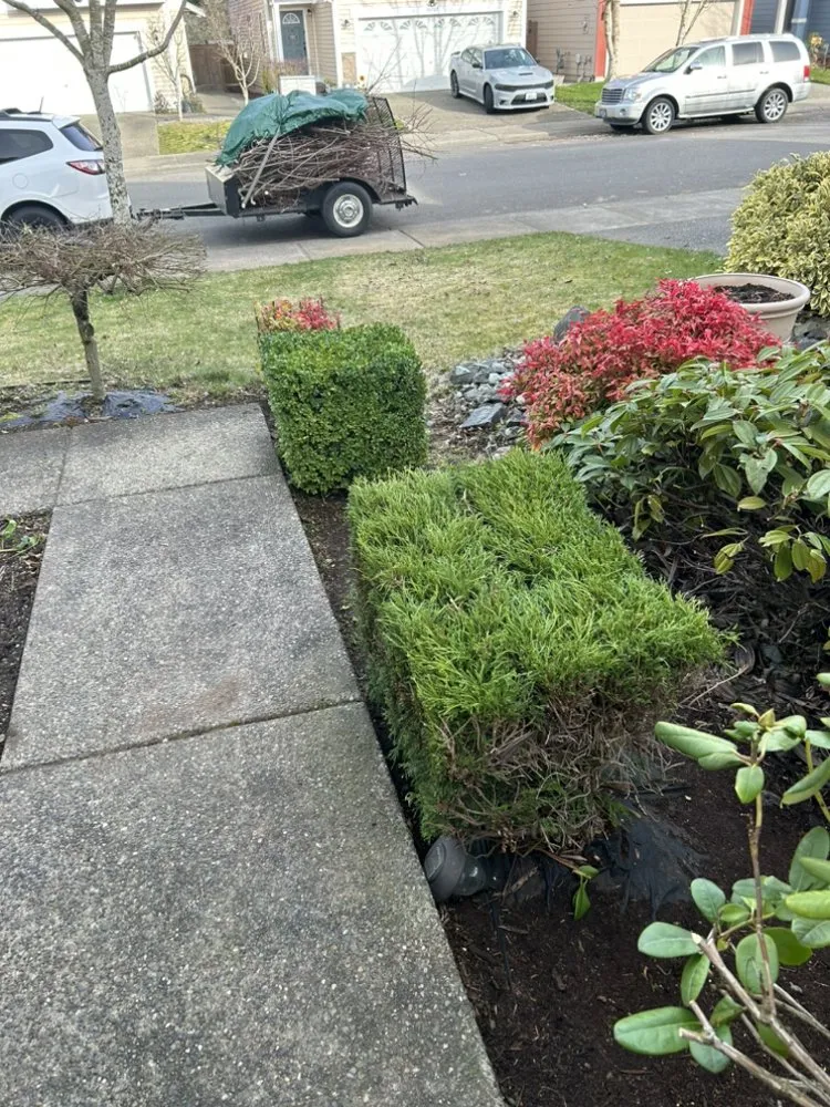 Affordable landscaping services experts serving Puyallup, WA - Touch of Spring