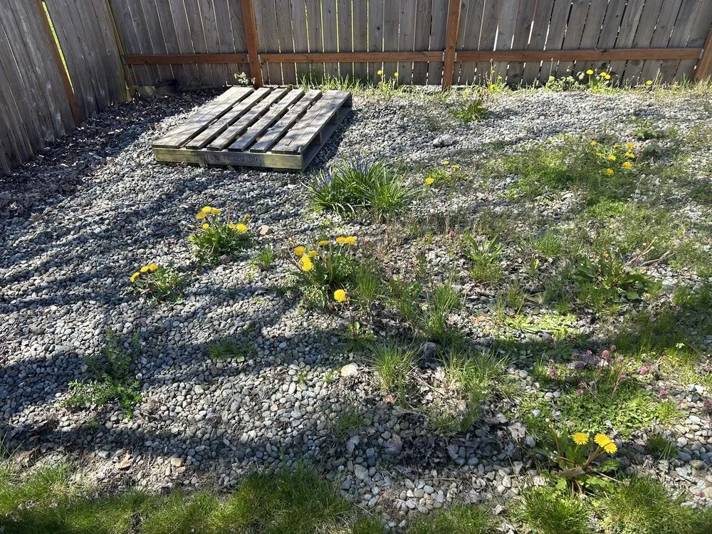 Local lawn care service for homes across Puyallup, WA - Touch of Spring